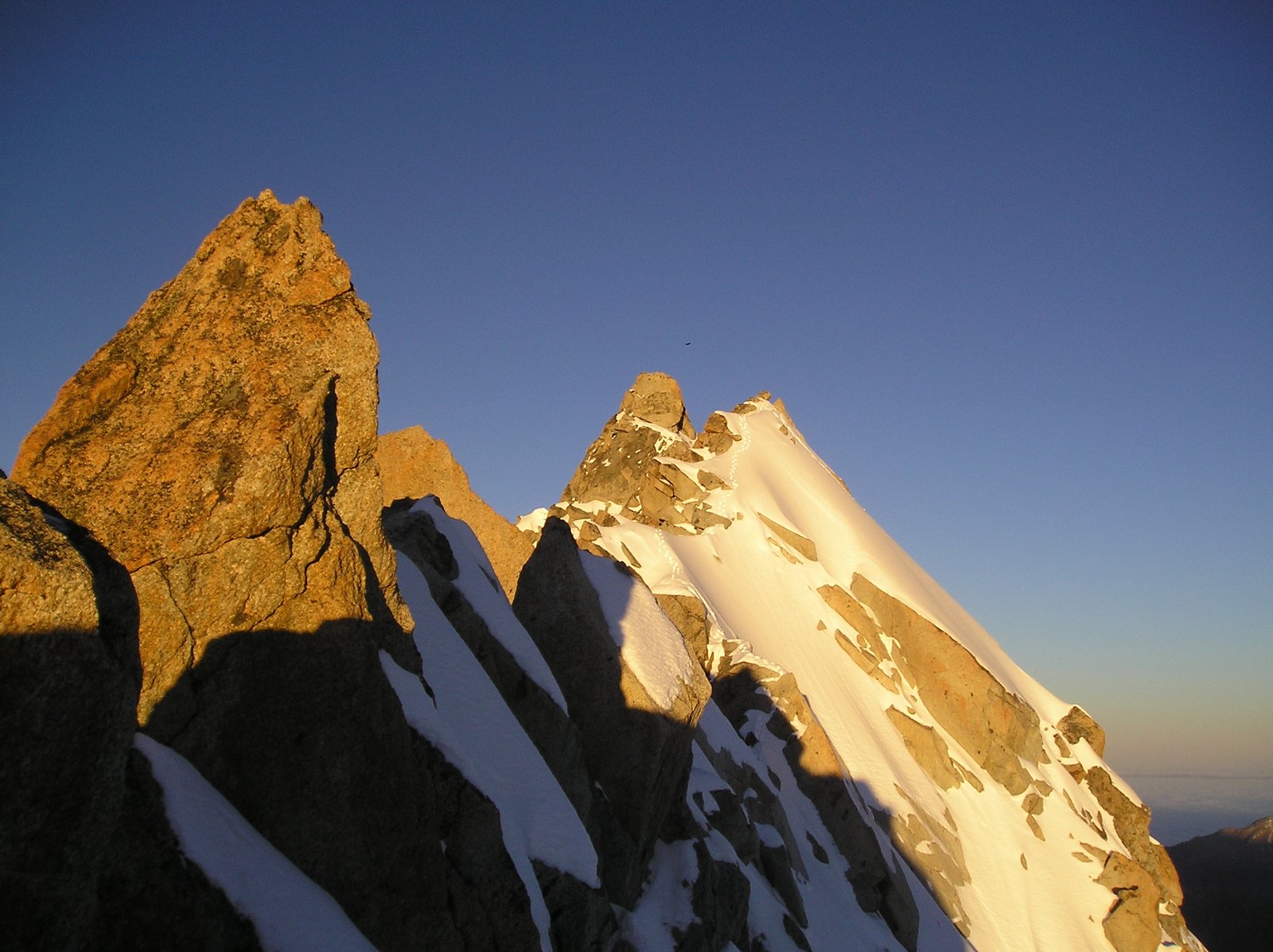 Arête Forbes, Aiguille du Chardonnet alpinisme guide de haute montagne Chamonix