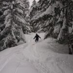 Ski Hors Piste dans la forêt